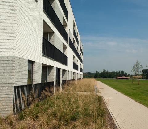 De Zilvertorens: "De sterke totaalorganisatie van Vandenbussche zorgt er mede voor dat de deadlines gehaald worden."